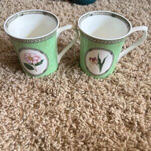 Lot 2 Queens bone china teacup coffee mug Royal Horticultural Applebee